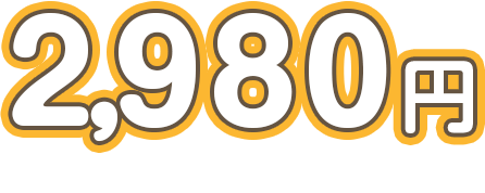 2,980円からお試しください！